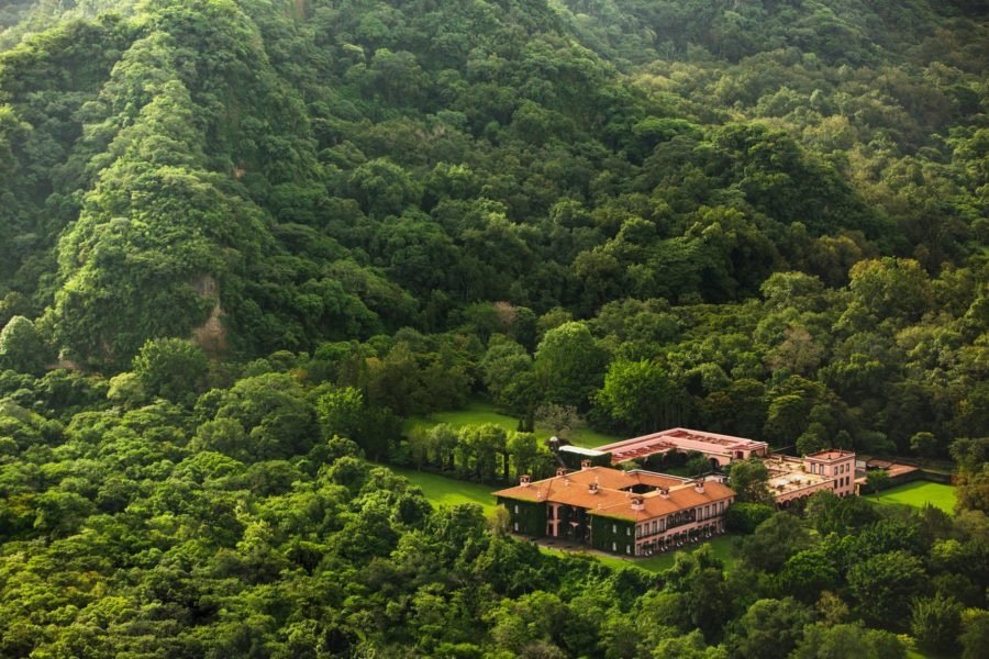 Deep Reset in nature
