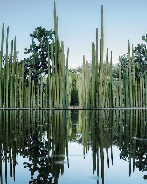 Stillness and reflection