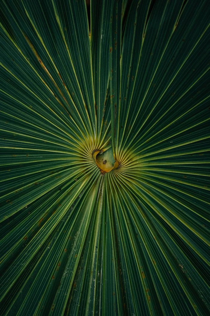 Organic form and awareness