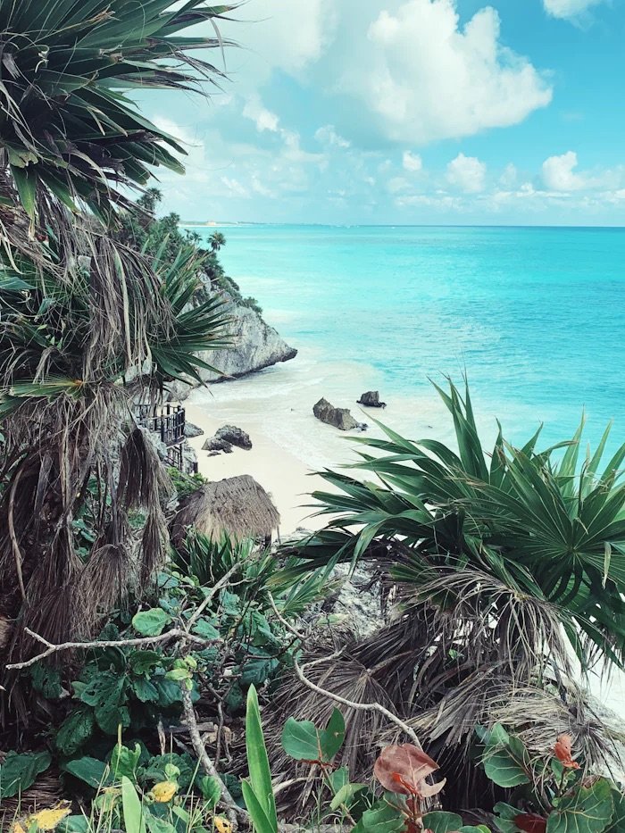 Sea and nature