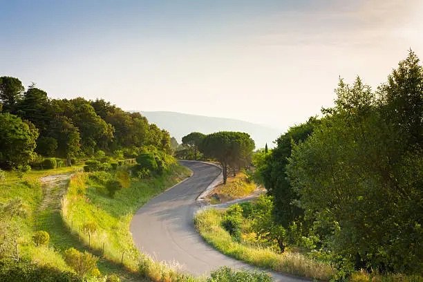 A road through nature