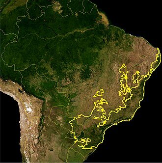 Brazilian nature