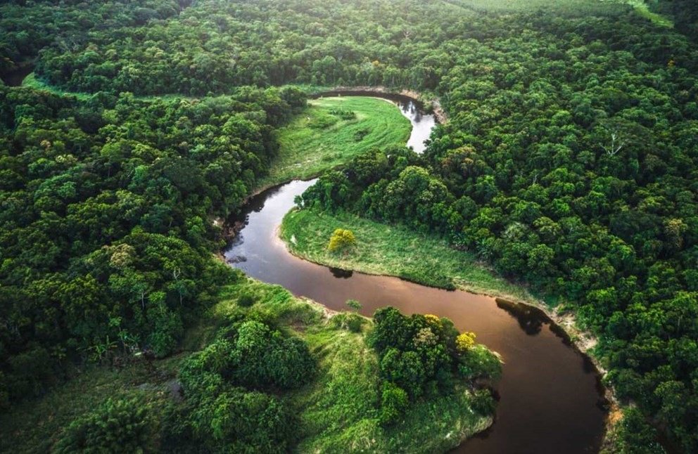 Brazil landscape