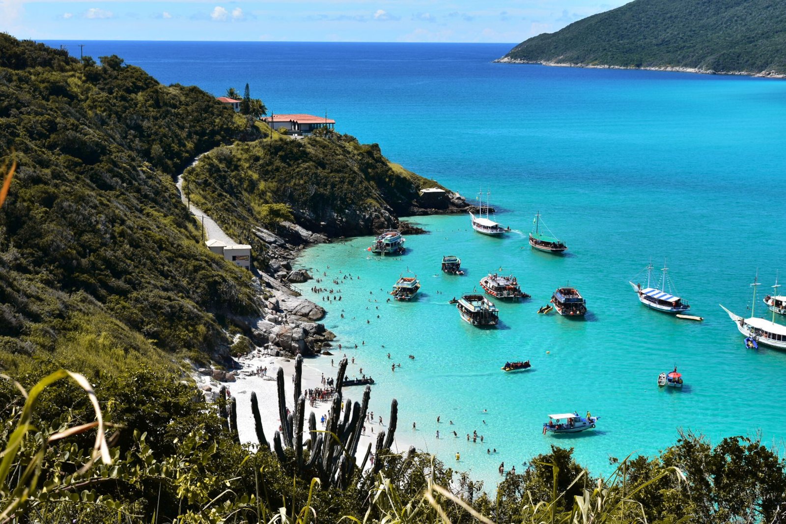 Brazil sea