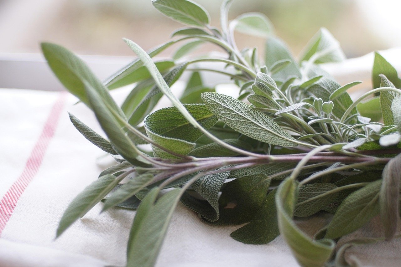 Fresh herbs and French cuisine